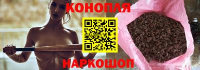 стаф Кингисепп