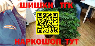 стаф Кингисепп