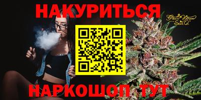 стаф Кингисепп