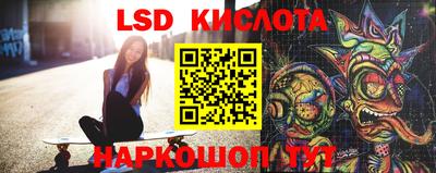 стаф Кингисепп