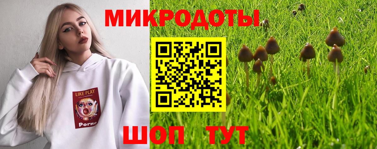 Псилоцибиновые грибы Psilocybine cubensis Киров